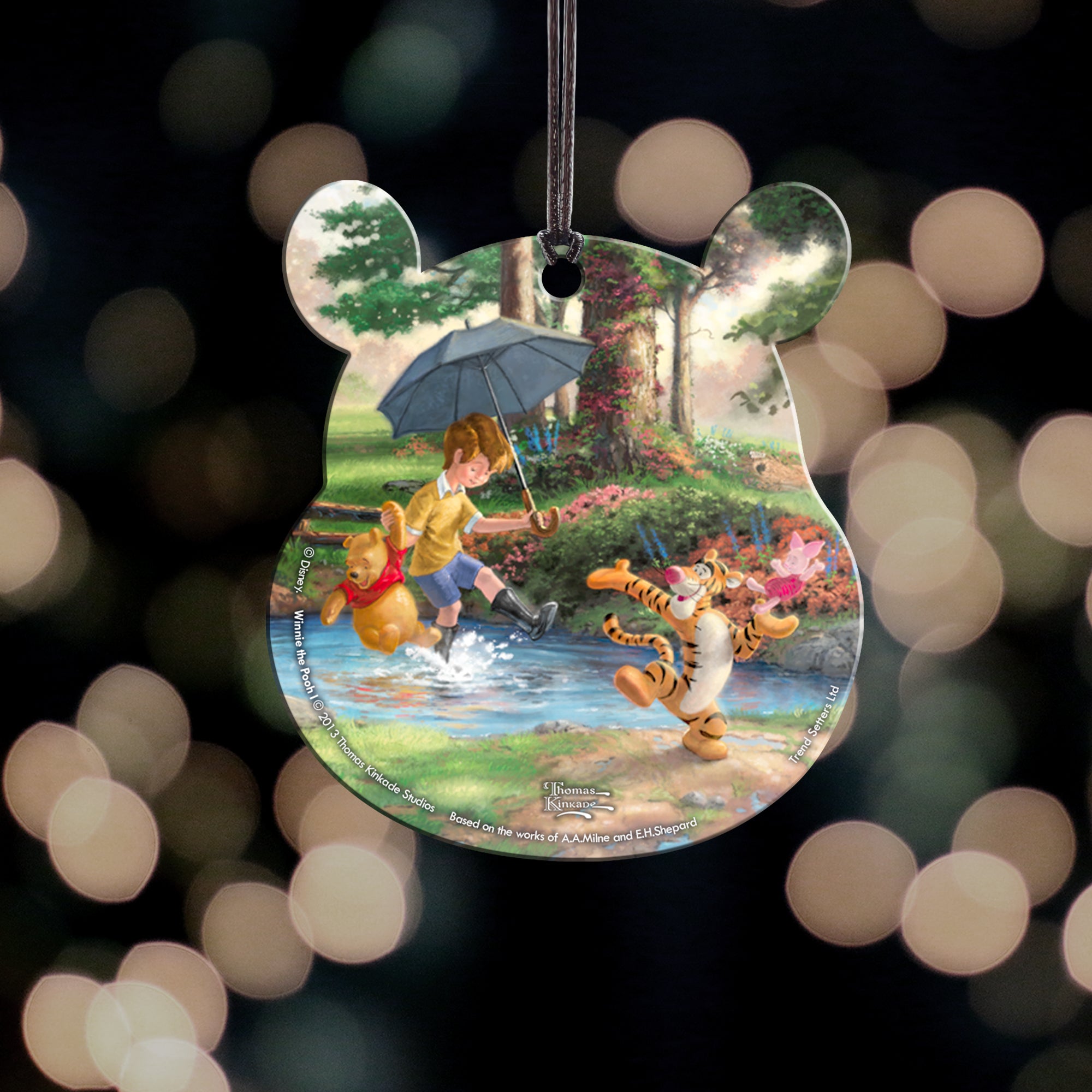 Disney (Winnie the Pooh I) Hanging Acrylic Print ACPBEAR381